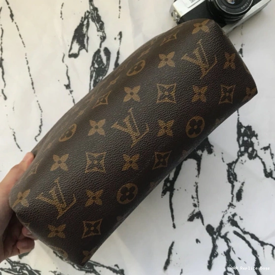 Aaa replica bags PALLAS Vuitton BEAUTY Louis CASE 0731